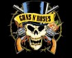Guns N' Roses