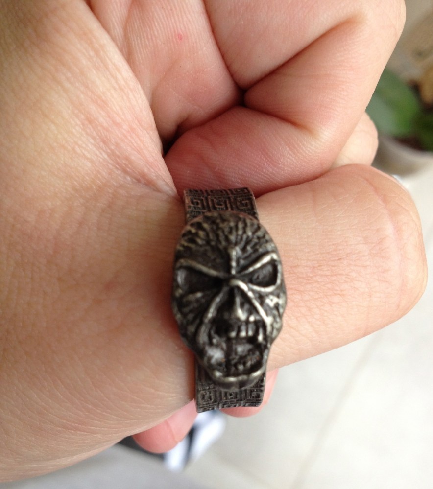 O anel de metal que vem com a árvore genealógica - e pode ser usado como anel mesmo...