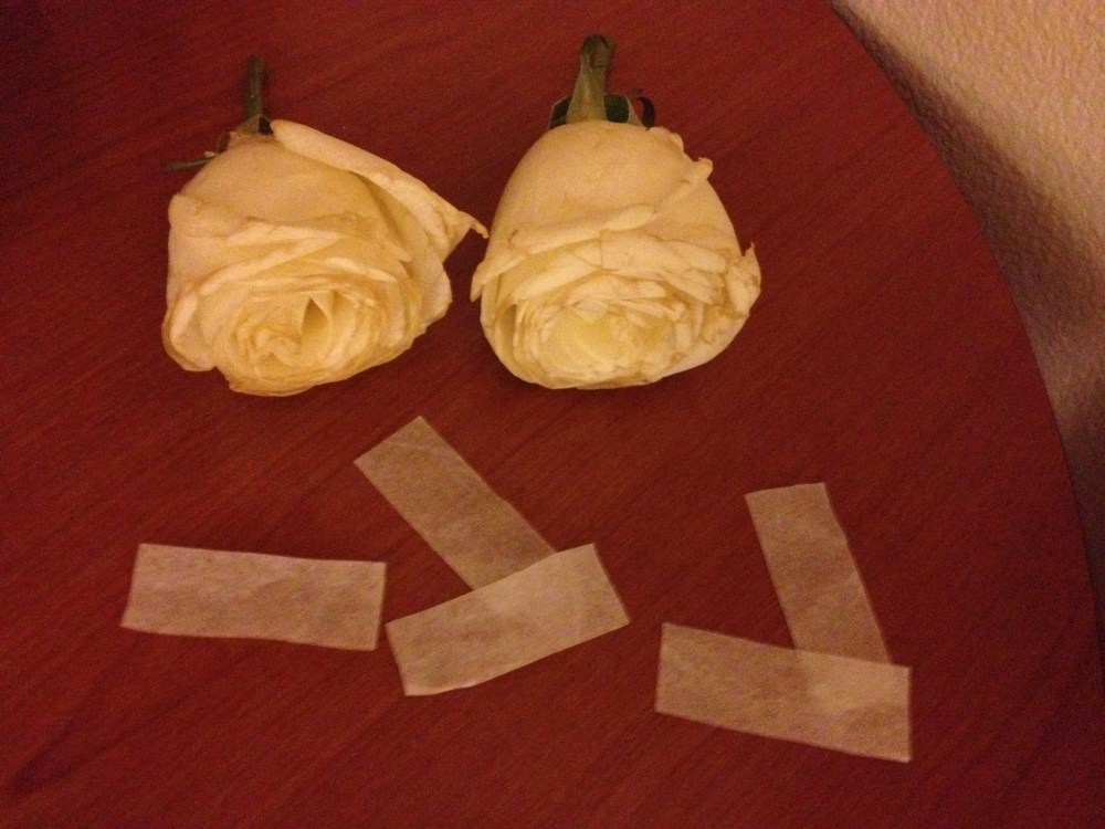 Rosas que voaram com Paul Stanley em Love Gun