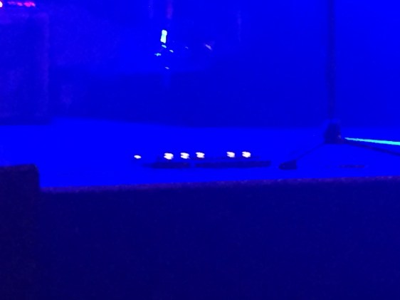 TheWineryDogs_Brasilia_14maio2016_09